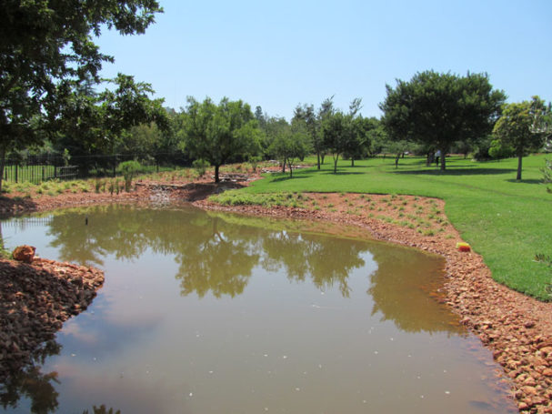 Sodium Bentonite small dam and streams